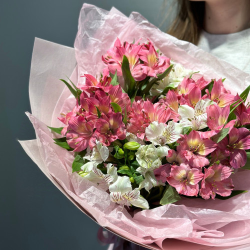 Альстремерия