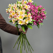 Альстромерия