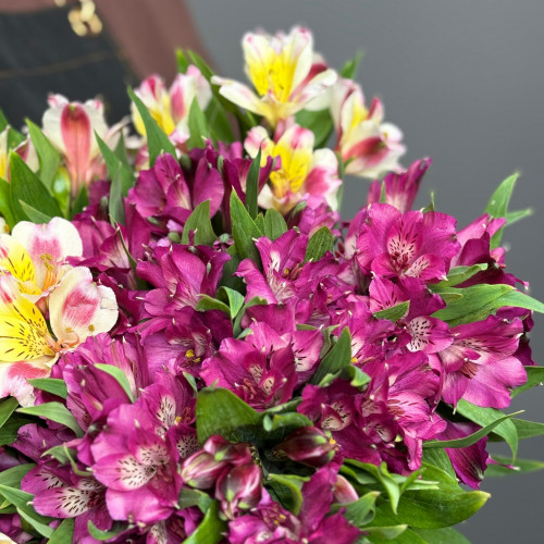 Альстромерия