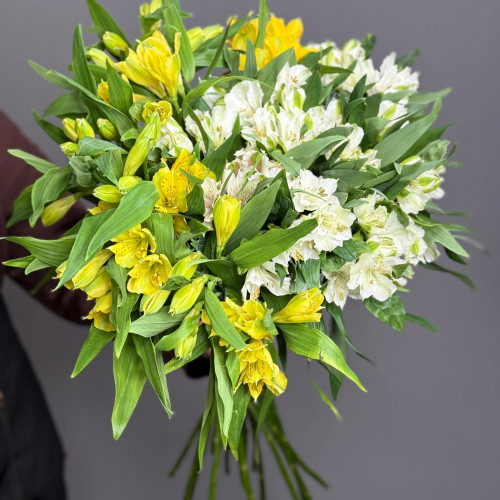 Альстромерия