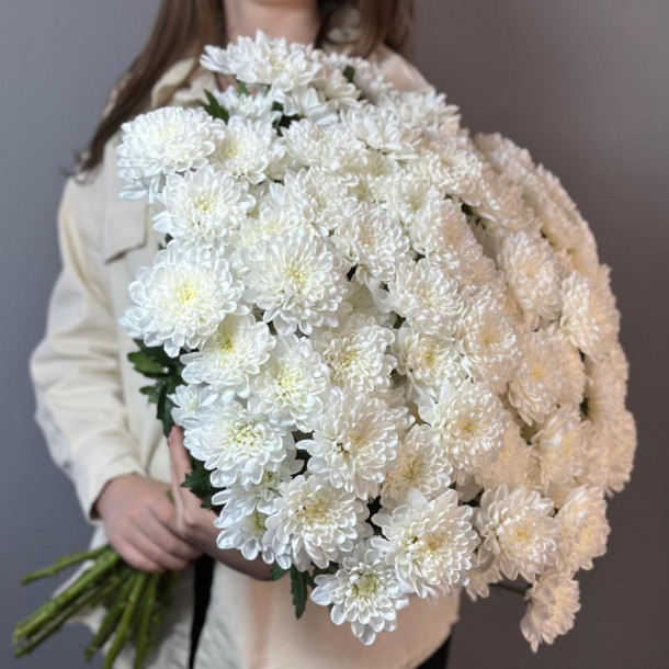 Белая кустовая хризантема