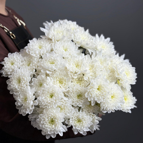 Хризантема кустовая (белая)