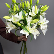 Лилия белая