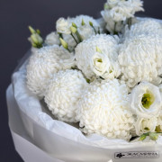 Белая одноголовая хризантема