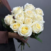 Роза Mondial (белая)