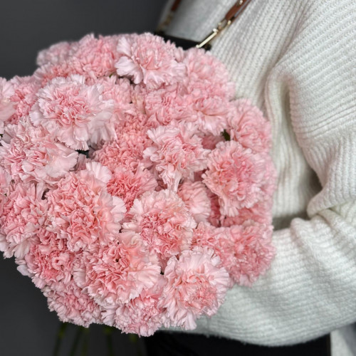 Диантус (гвоздика)