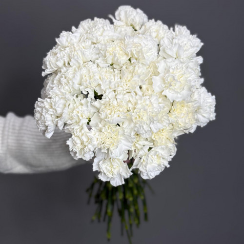 Диантус (гвоздика)