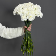 Диантус (гвоздика)