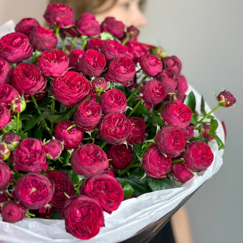 Красная кустовая пионовидная роза