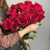 Роза Эквадор (красная)