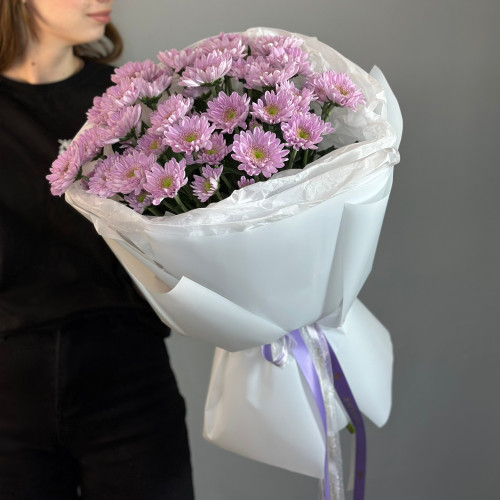 Кустовая хризантема Mona Lisa Pink