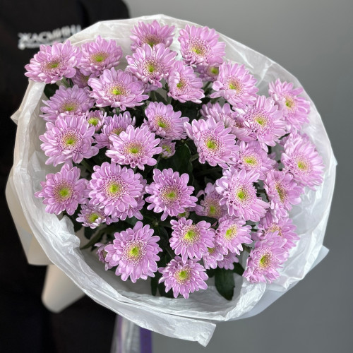 Кустовая хризантема Mona Lisa Pink