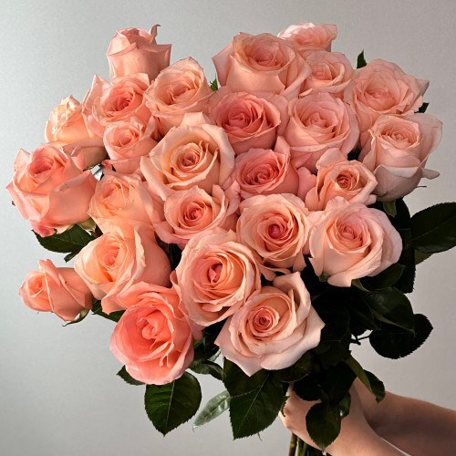 Нежно-розовая роза