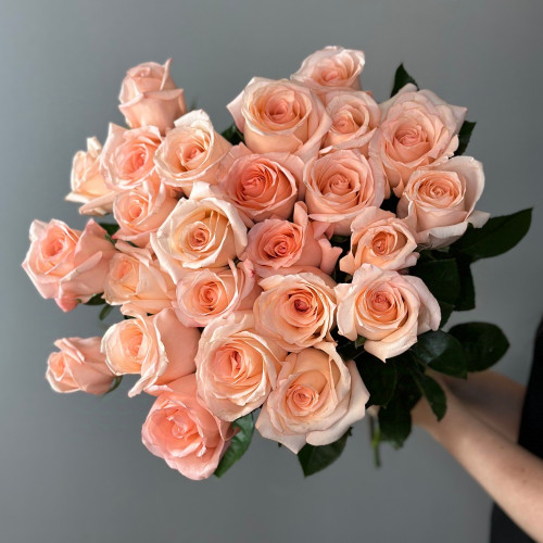 Нежно-розовая роза