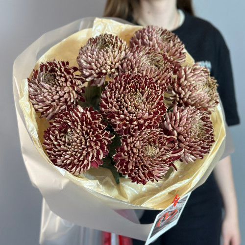 Одноголовая хризантема «Бигуди»