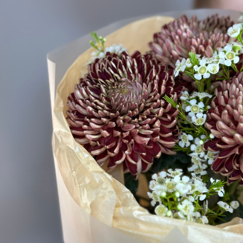 Одноголовая хризантема «Бигуди»