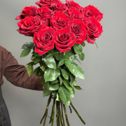 Красная роза Explorer - 60 см.