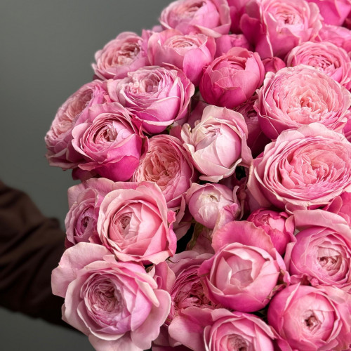 Роза кустовая пионовидная (розовая)