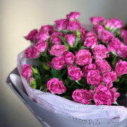 Розовая кустовая роза