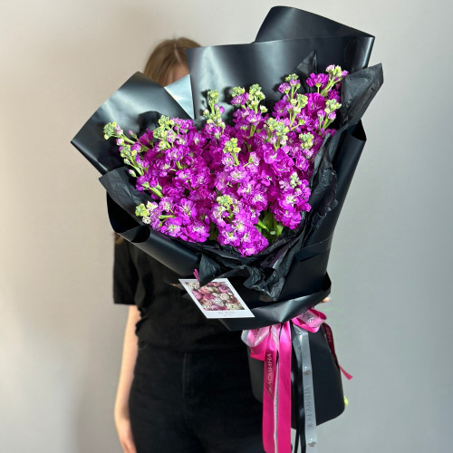 Розовая маттиола (фиалка)