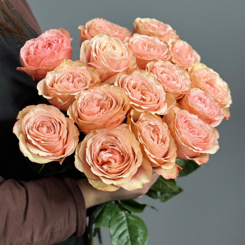 Роза Kahala (персиковая) пионовидная