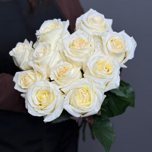 Роза Candlelight (белая)