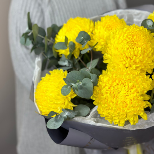 Жёлтая одноголовая хризантема