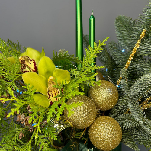 Композиция "561"