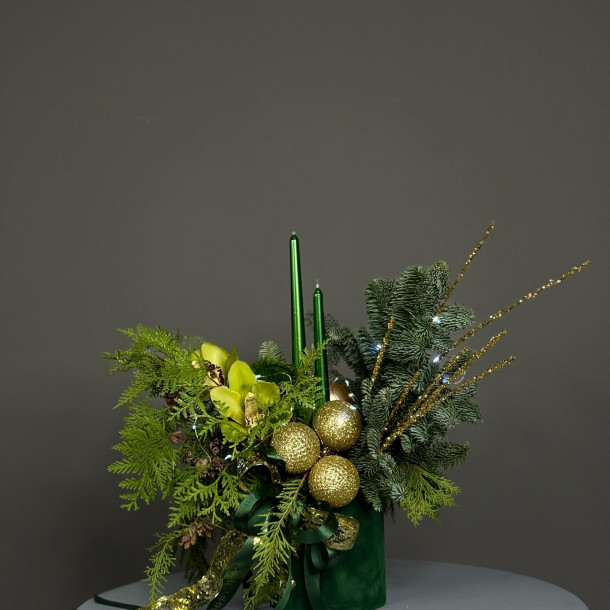 Композиция "561"