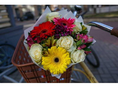 Какие цветы подарить жене друга на день рождения