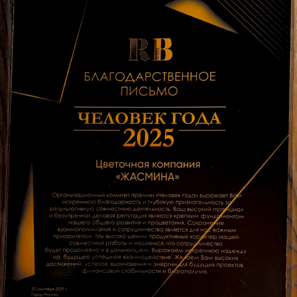 Жасмина на XVIII ежегодной премии "Человек года"
