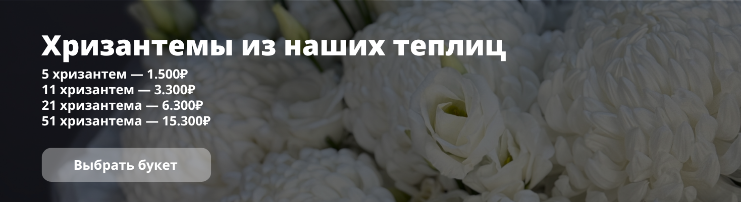 Баннер 2025-12-18-001